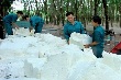 Ngành cao su đối mặt với nhiều thách thức giai đoạn tới  